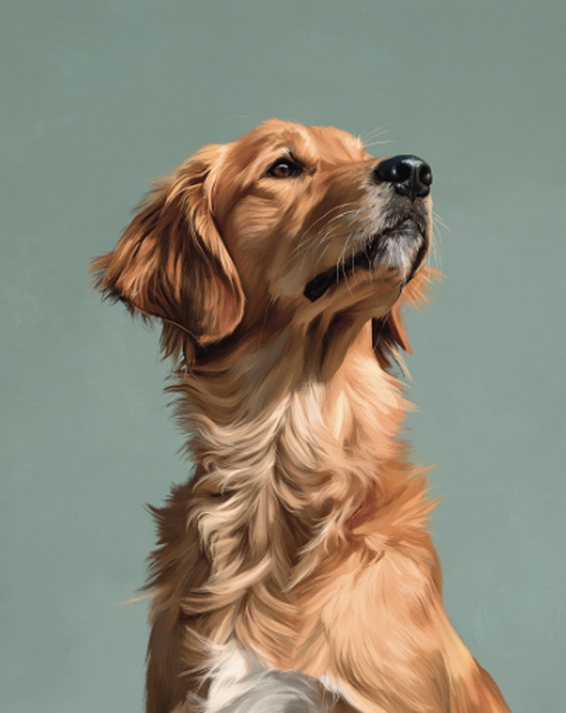 Le Bon Chien portrait of a golden retriever with a La Bonne Fille band